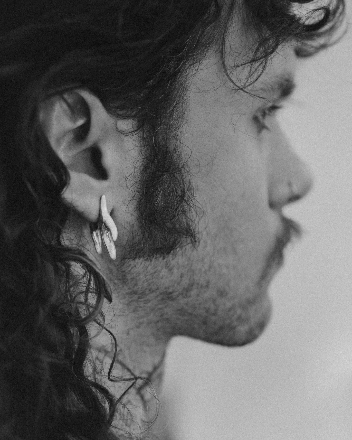 Auskaras PAVYDAS ugnies formos